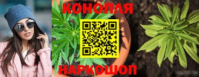 наркотики Малгобек