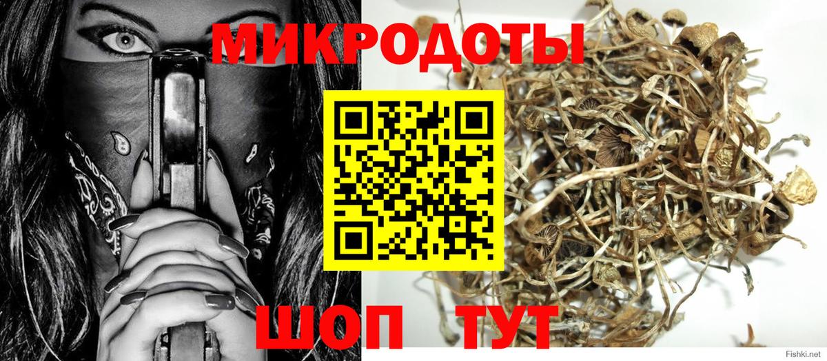 Горно-Алтайск  Галлюциногенные грибы ЛСД  Вход с VPN 