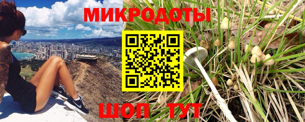  КОКАИН Горно-Алтайск